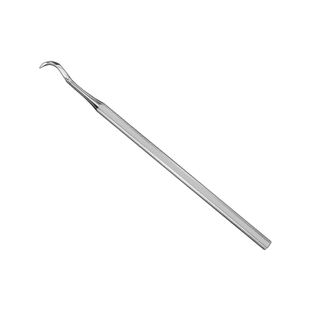 Provisional prosthesis lifter